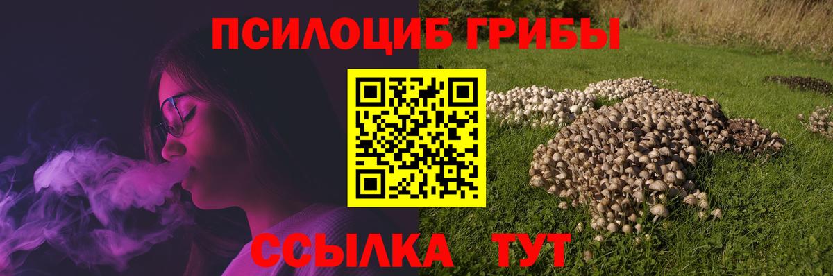 Набережные Челны  Галлюциногенные грибы MAGIC MUSHROOMS  Вход с VPN 